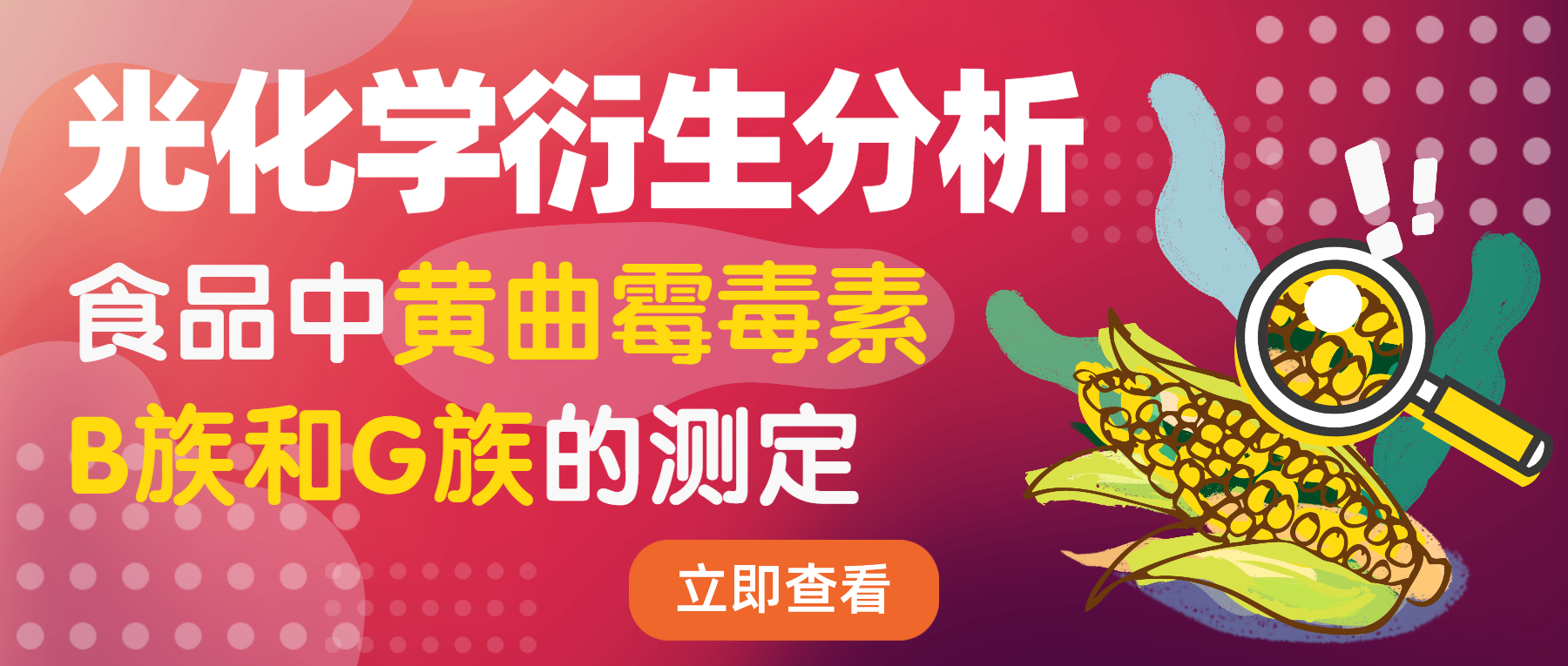 光化學(xué)衍生分析-食品中黃曲霉毒素B族和G族的測(cè)定